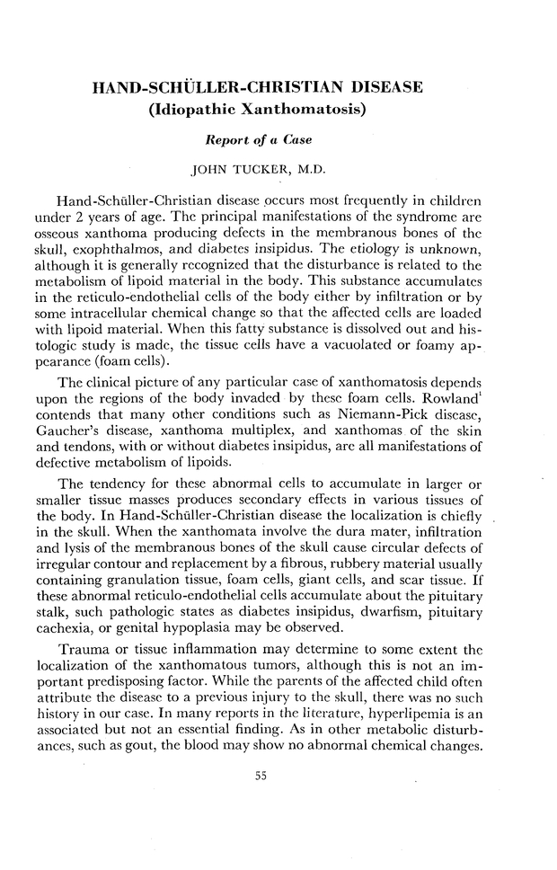 PDF extract preview