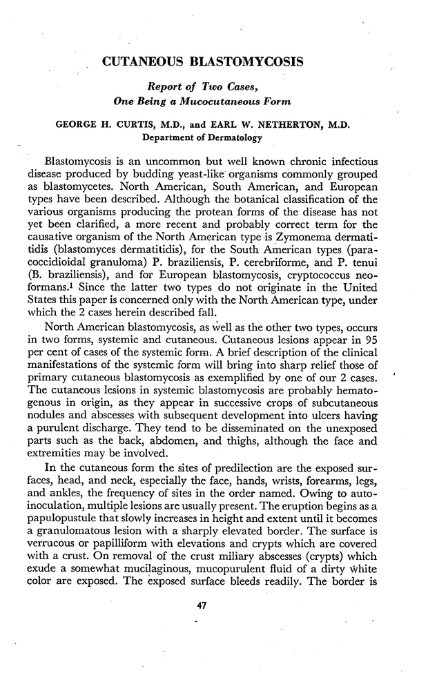 PDF extract preview