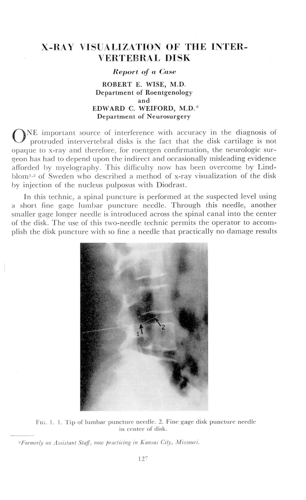 PDF extract preview