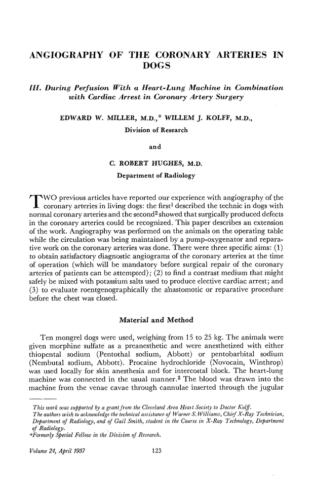 PDF extract preview