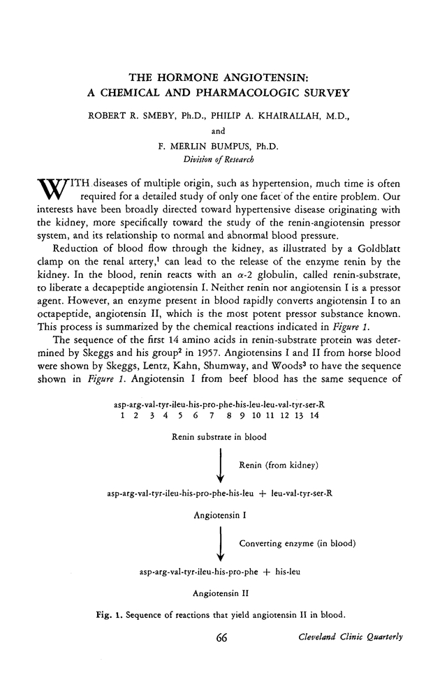 PDF extract preview
