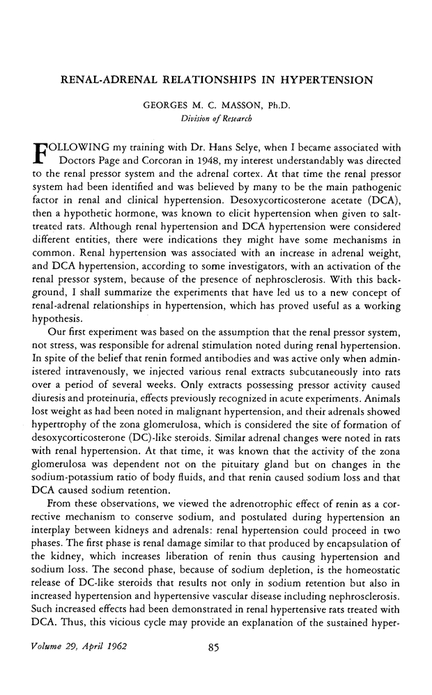 PDF extract preview