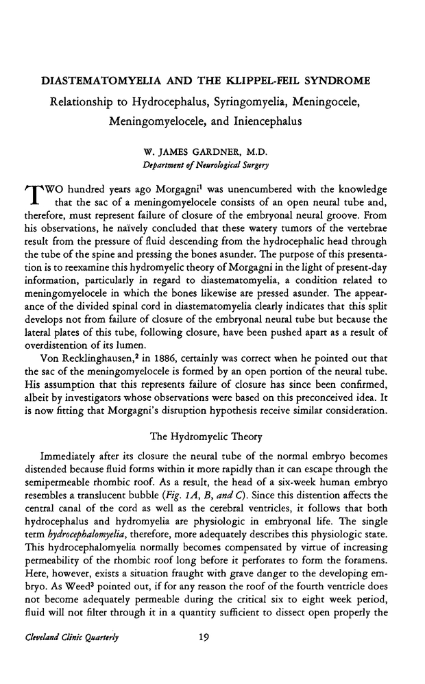 PDF extract preview