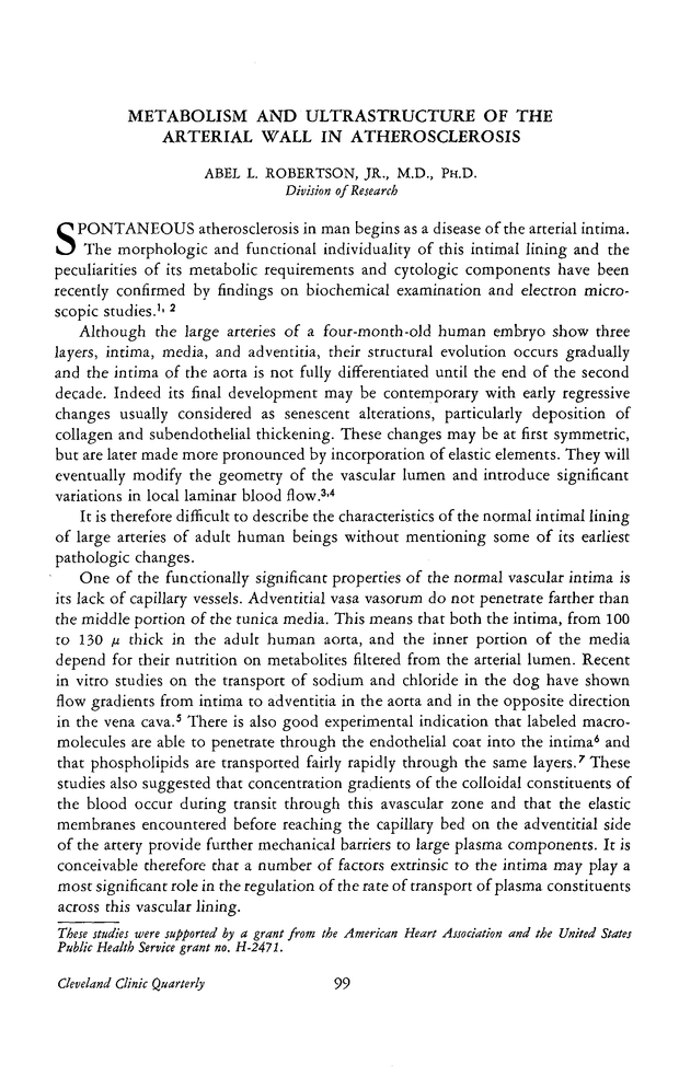 PDF extract preview