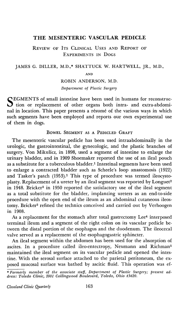 PDF extract preview