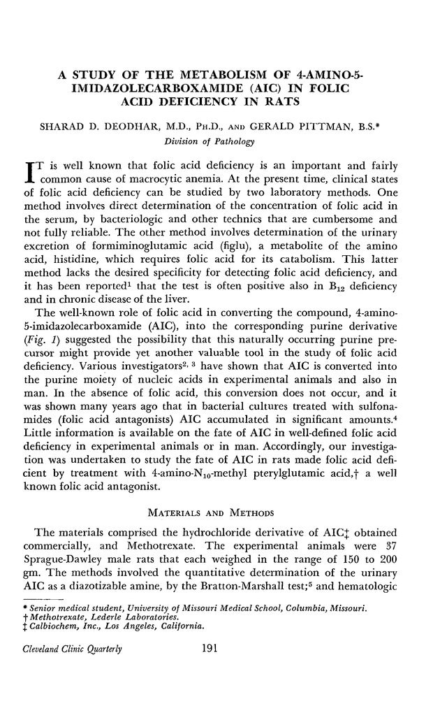 PDF extract preview