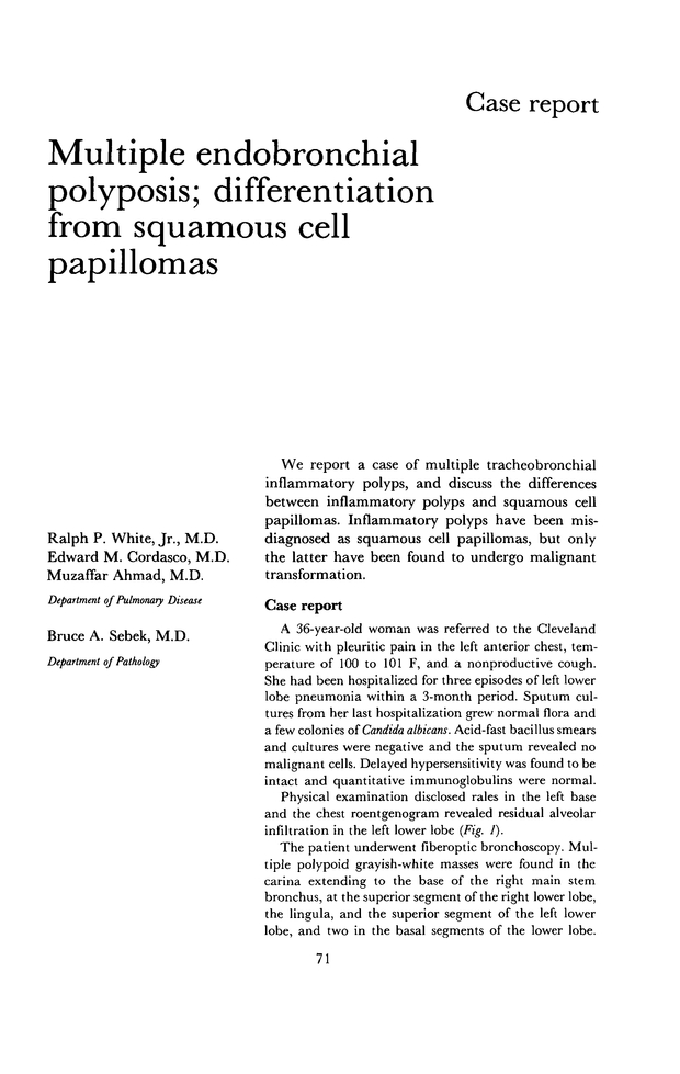PDF extract preview