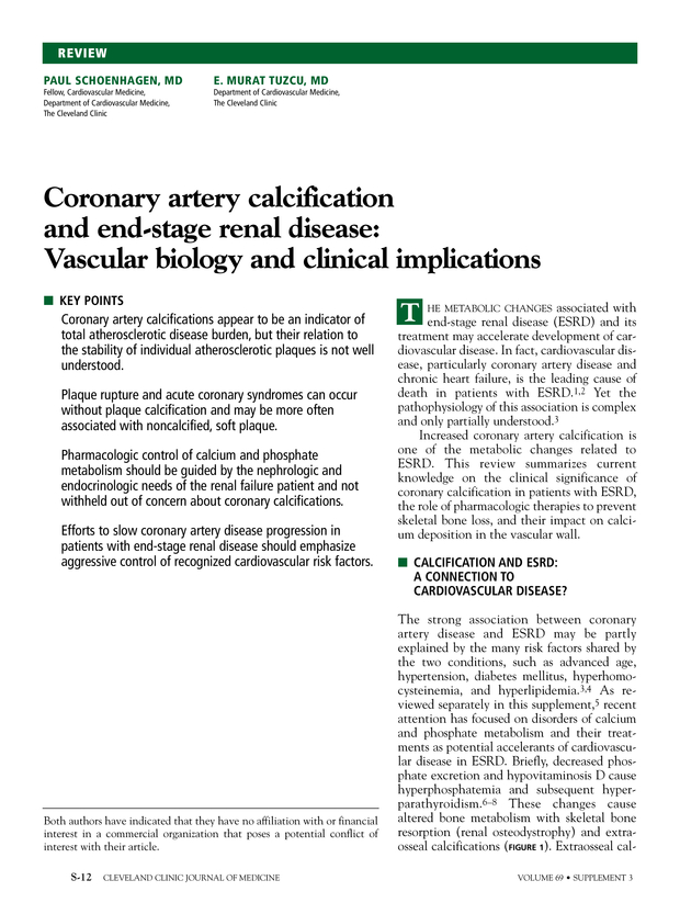 PDF extract preview