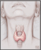 Most elderly patients with subclinical hypothyroidism do not need to be treated