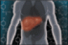 A guide to managing acute liver failure