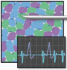 Using and interpreting electrodiagnostic tests