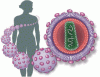 Caring for women with HIV: Unique needs and challenges