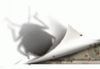 Bedbugs: Helping your patient through an infestation